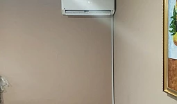 ДНТ Клевер